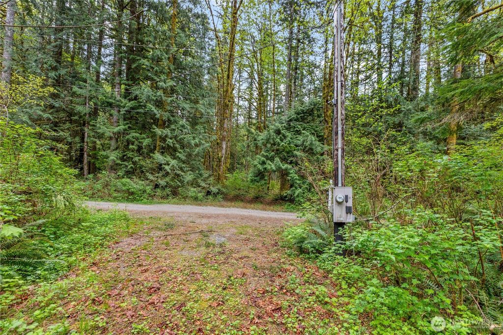 Photo of 51223 195th Place SE, Index, WA 98256 (MLS # 2516651)