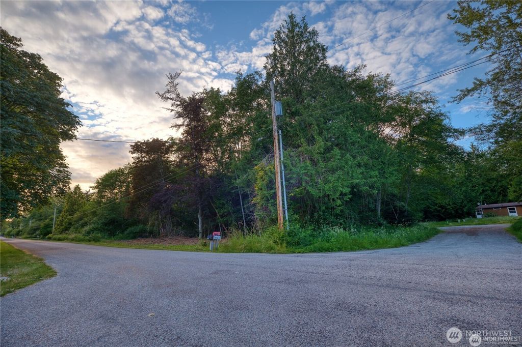 Photo of 1394 Rex Street, Point Roberts, WA 98281 (MLS # 2497223)