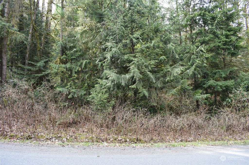 Photo of 16100 Jordan Trails Road, Arlington, WA 98223 (MLS # 2054479)
