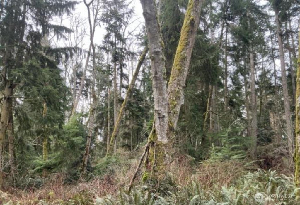 Photo of 0 XXX Evenstar Lane, Greenbank, WA 98253 (MLS # 2590966)