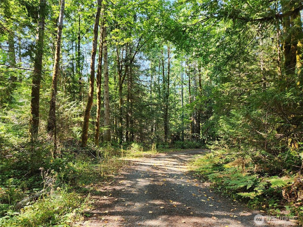 Photo of 554 Briarwood Lane, Brinnon, WA 98320 (MLS # 2465321)