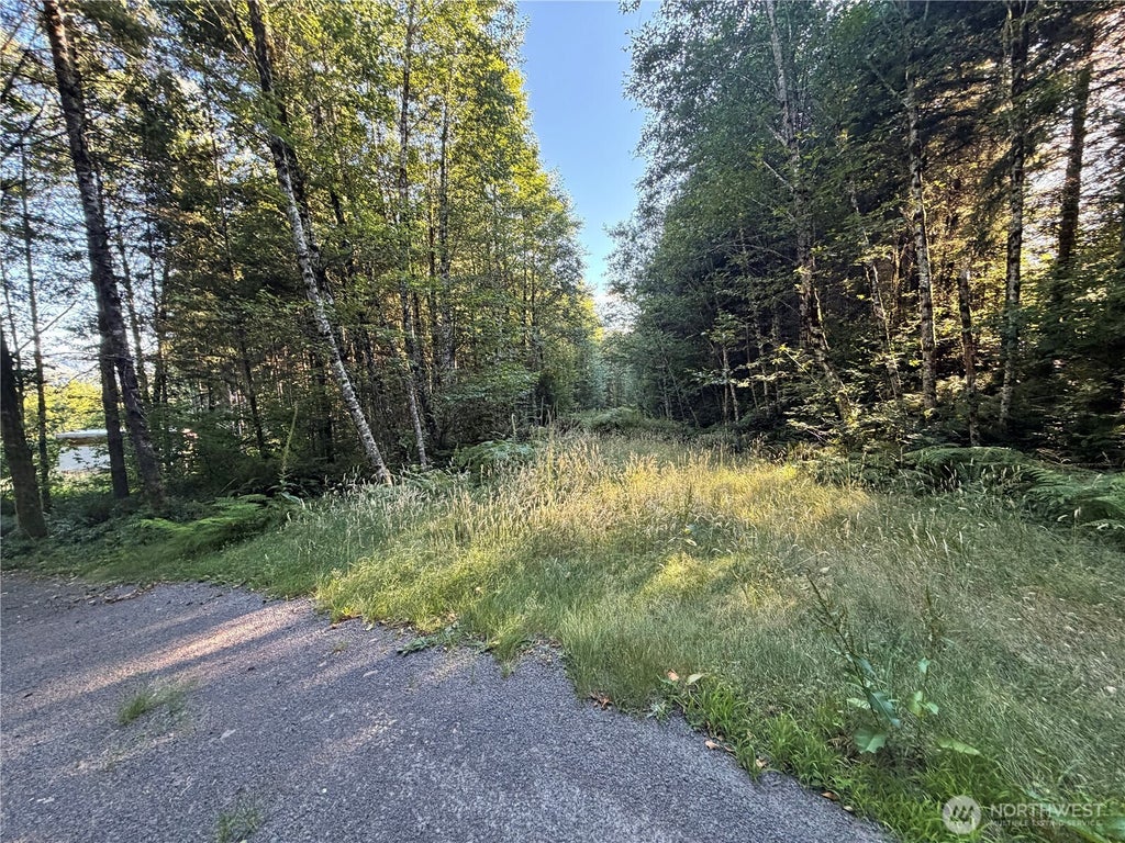 Photo of 217 Ham Road, Amboy, WA 98601 (MLS # 2553544)