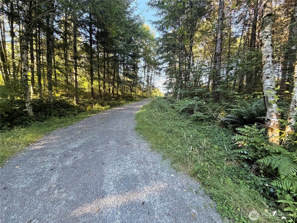 Photo of 217 Ham Road, Amboy, WA 98601 (MLS # 2553544)