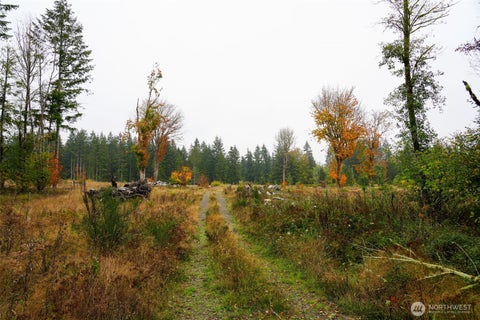 Photo of 15138 Champion Estate Drive SE, Yelm, WA 98597 (MLS # 2591588)