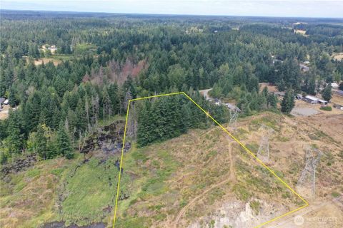 Photo of 6810 325th Street Court S, Roy, WA 98580 (MLS # 2409839)