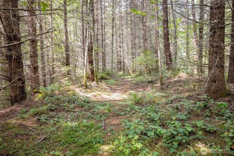 Photo of 101 Wild Blackberry Lane, Port Angeles, WA 98363 (MLS # 2419162) Photo of 101 Wild Blackberry Lane, Port Angeles, WA 98363 (MLS # 2419162)