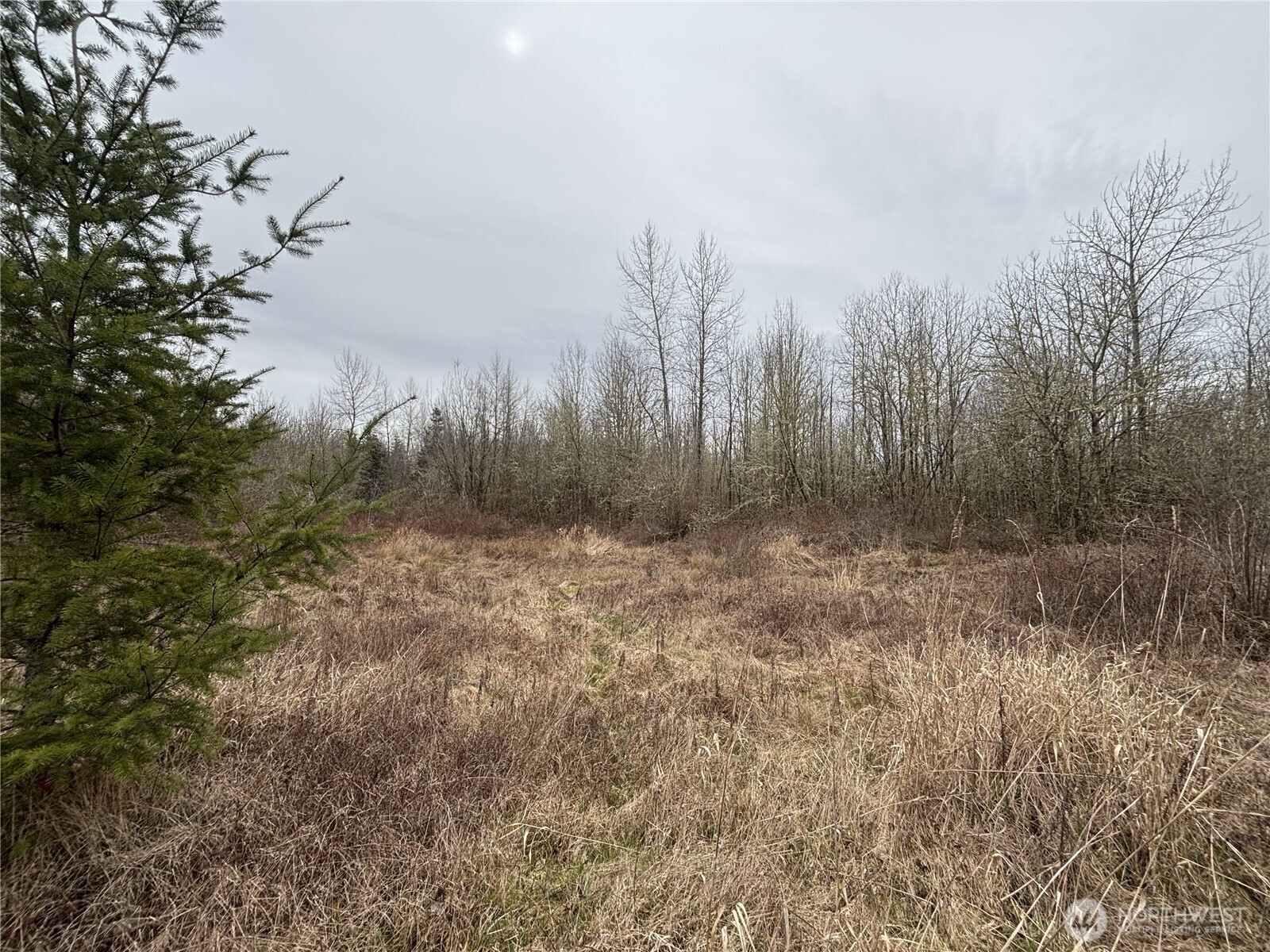 118 Grand Fir Lane