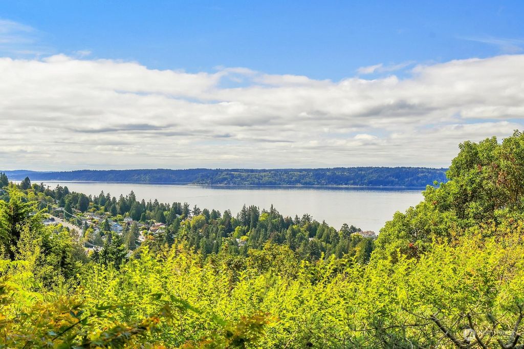 Photo of 4207 SW Sullivan Street, Seattle, WA 98136 (MLS # 2285502)