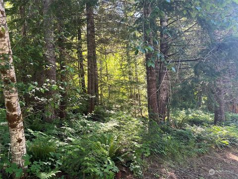 103 Ridge Lane Packwood WA 98361