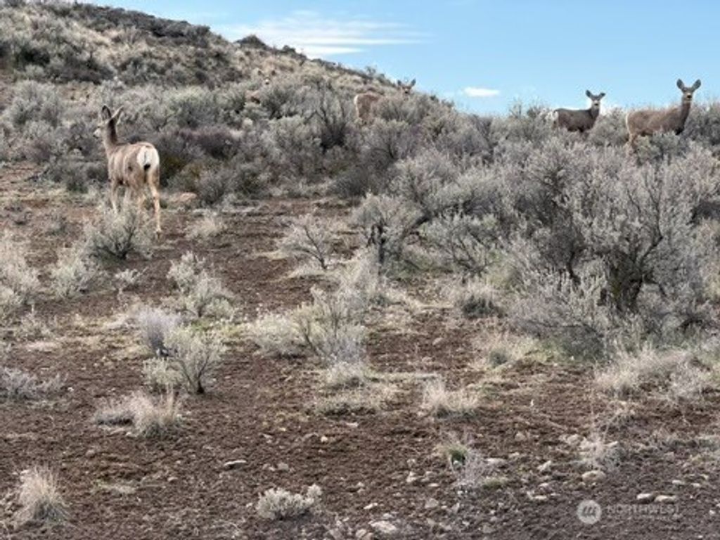 Photo of 0 Stirrup Pl, Ephrata, WA 98823 (MLS # 2497856)