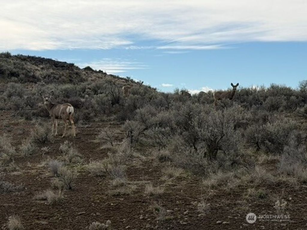 Photo of 0 Stirrup Pl, Ephrata, WA 98823 (MLS # 2497856)