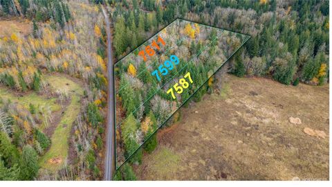 7587 Bobcat Lane Maple Falls WA 98266