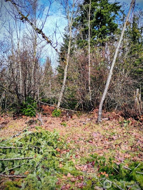 0 Holiday Lane Lot 19 Packwood WA 98361