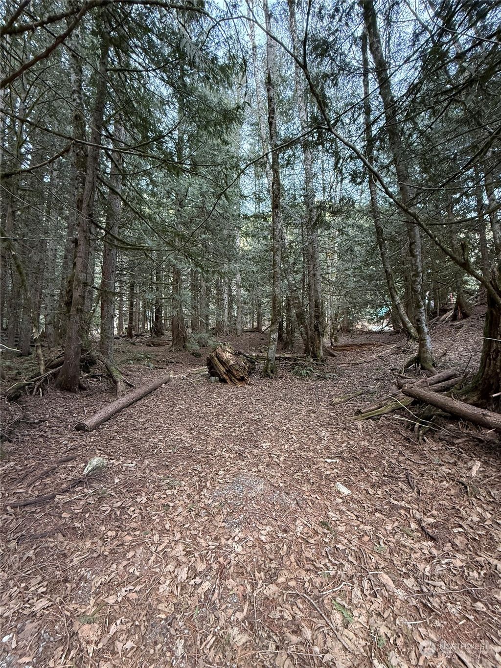 Photo of 87236 NE Old Cascade Highway, Skykomish, WA 98288 (MLS # 2326078)