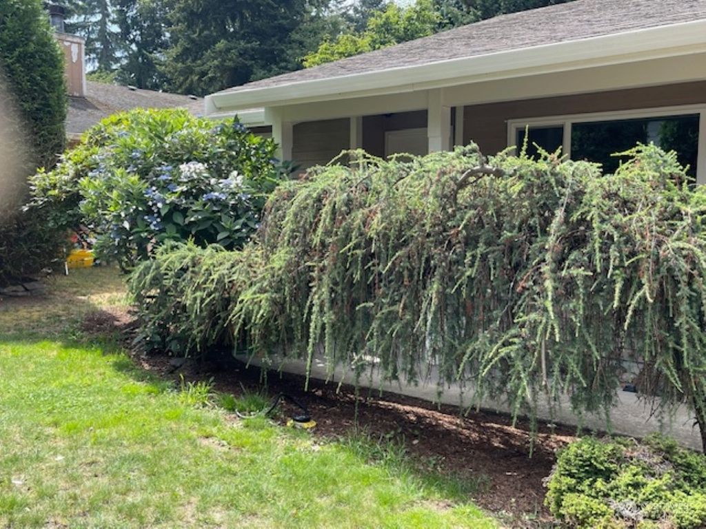 Photo of 3220 SW 340th Street, Federal Way, WA 98023 (MLS # 2209162)