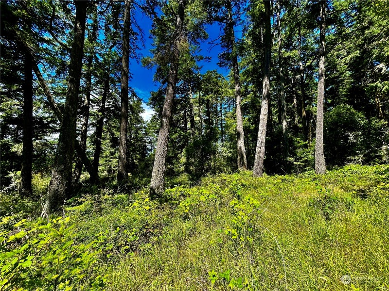 0 Salmonberry Lane