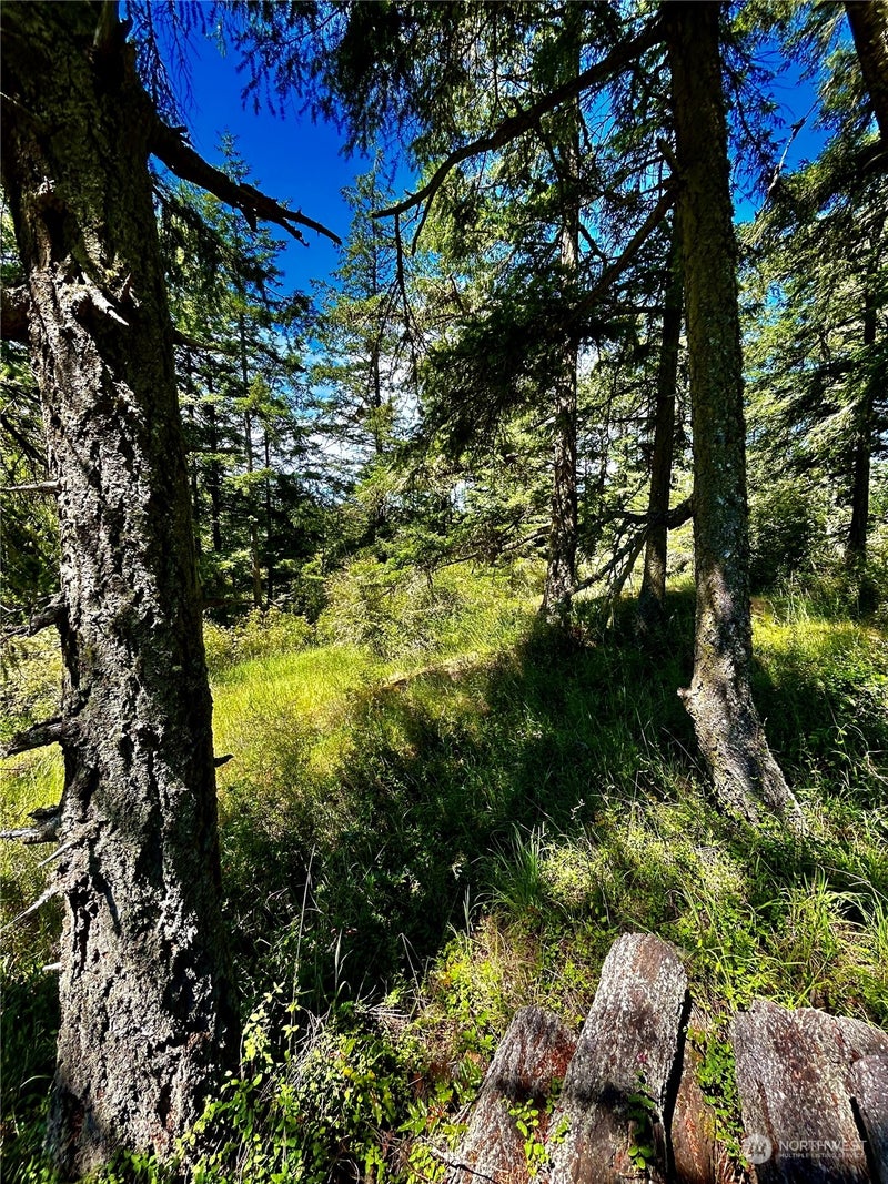 0 Salmonberry Lane