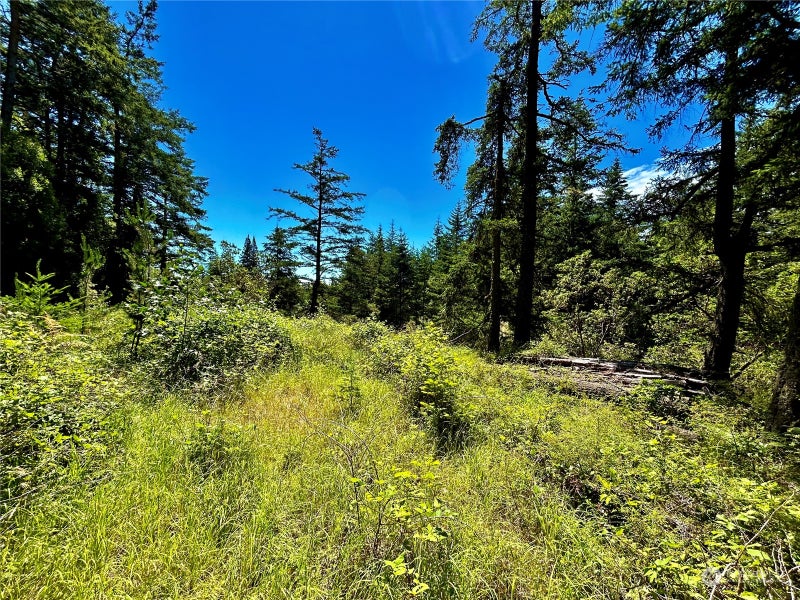 0 Salmonberry Lane