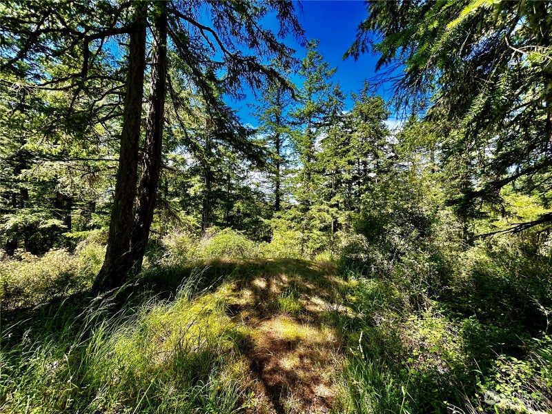 0 Salmonberry Lane