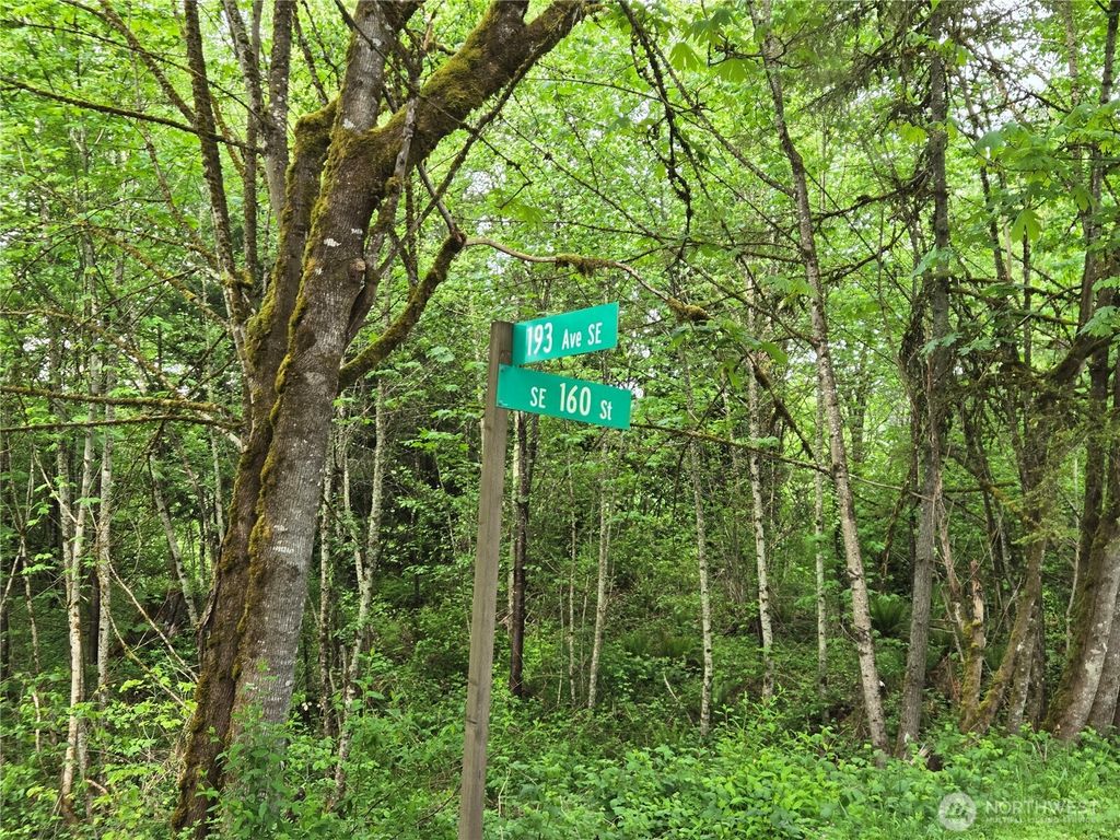 Photo of 160 XX 193rd Ave SE, Renton, WA 98058 (MLS # 2377337)