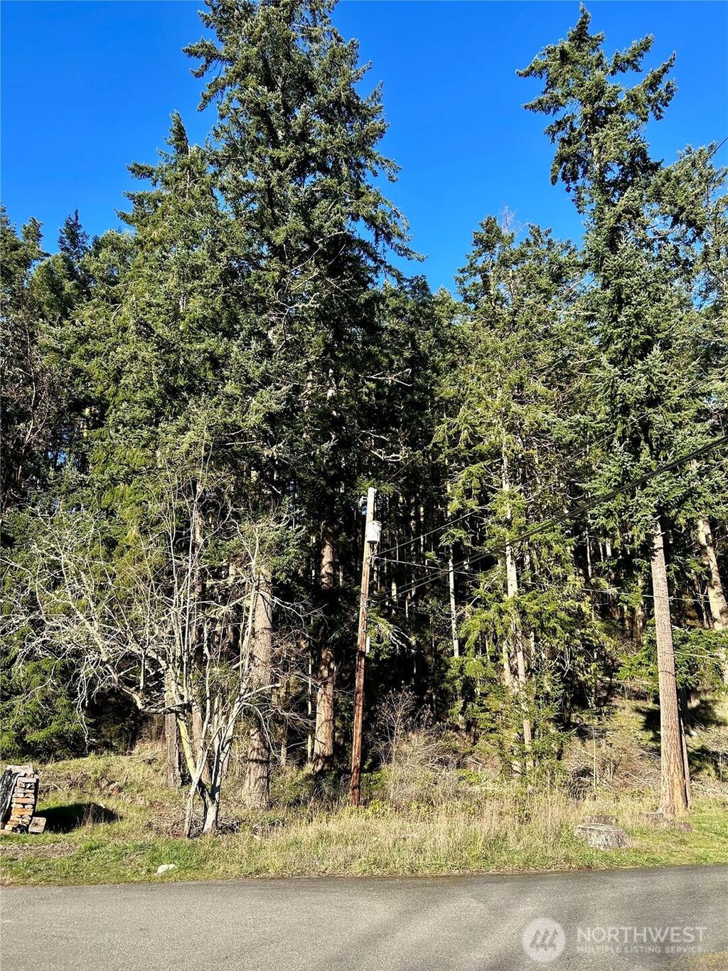 Photo of 55 Vancouver Place, Port Townsend, WA 98368 (MLS # 2472233)