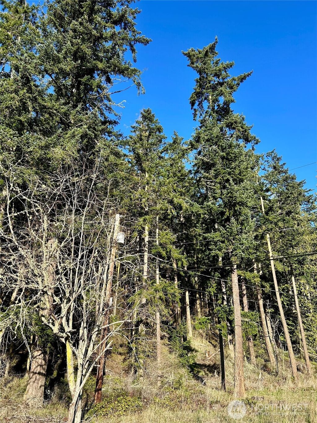 Photo of 55 Vancouver Place, Port Townsend, WA 98368 (MLS # 2472233)