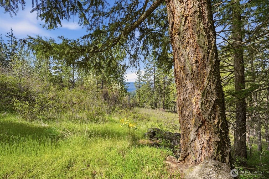 Photo of 0 NKA N Abigail Lane, Spokane, WA 99208 (MLS # 2512646)