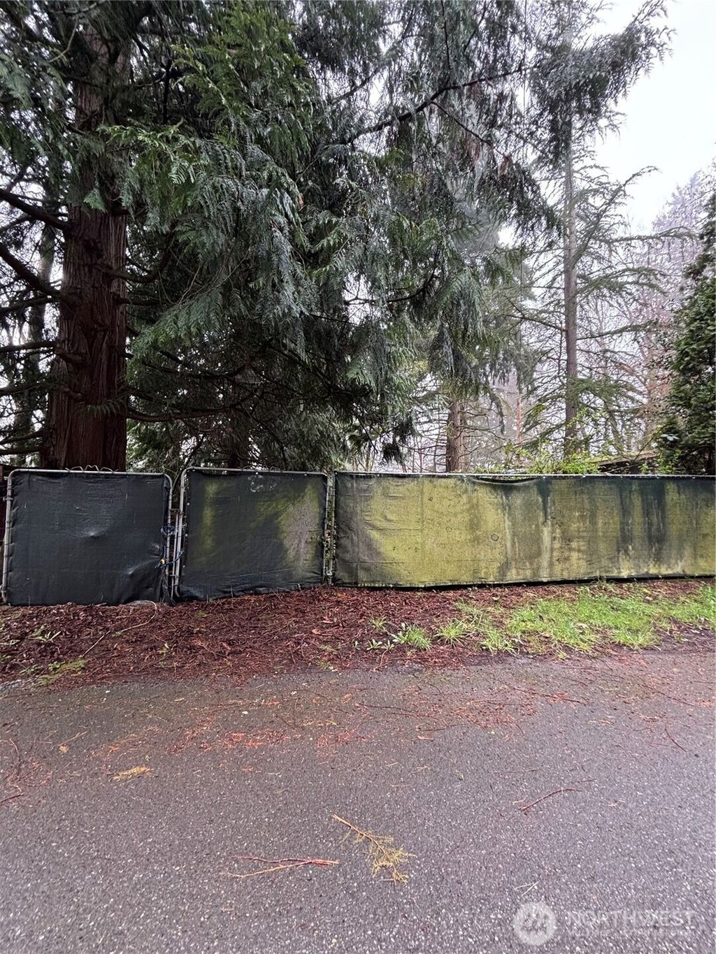 Photo of 3312 13th St SW St, Puyallup, WA 98373 (MLS # 2498967)