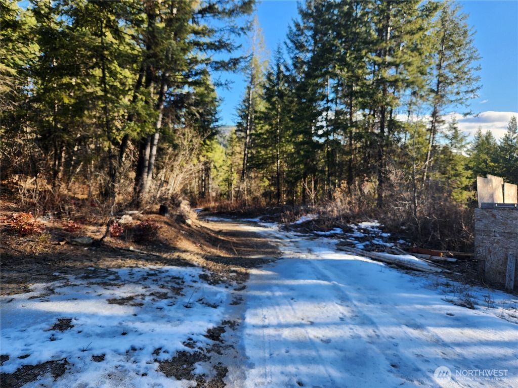 Photo of 318 Rockabye Lane, Curlew, WA 99118 (MLS # 2484044)