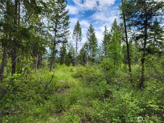 318 ROCKABYE LN, CURLEW, WA 99118 - Image b08fda9cf95dede7332b1c5ae1ebfa4e/3436069278