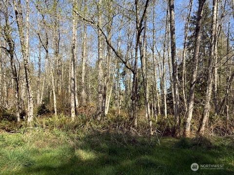 Photo of 0 Lot 15 Ander Park Road, Freeland, WA 98249 (MLS # 2501240)