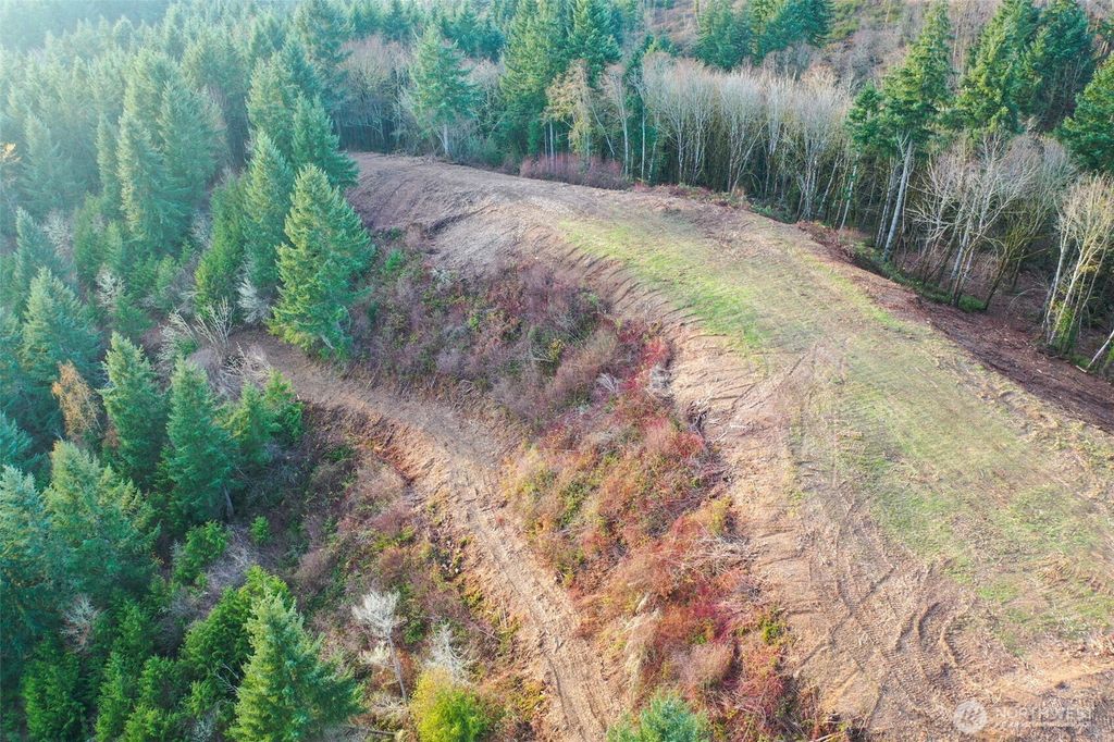 Photo of 1351 W Roanoke Street, Centralia, WA 98531 (MLS # 2459453)