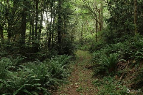 0 SE 183rd and 184th Avenue SW 1,2&3 Longbranch WA 98351