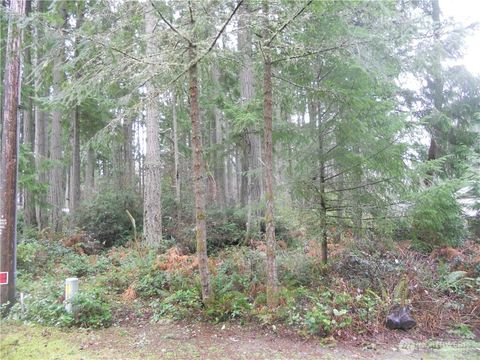 10315 107th Avenue Ct Anderson Island WA 98303