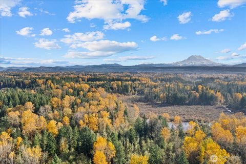 10918 288th Street E Graham WA 98338