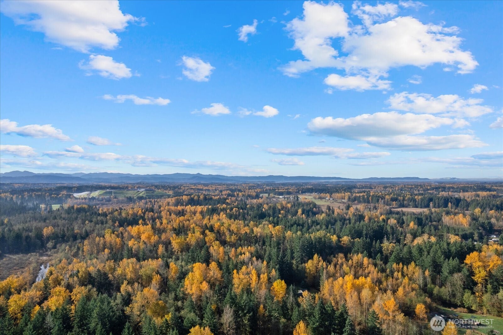 10918 288th Street E