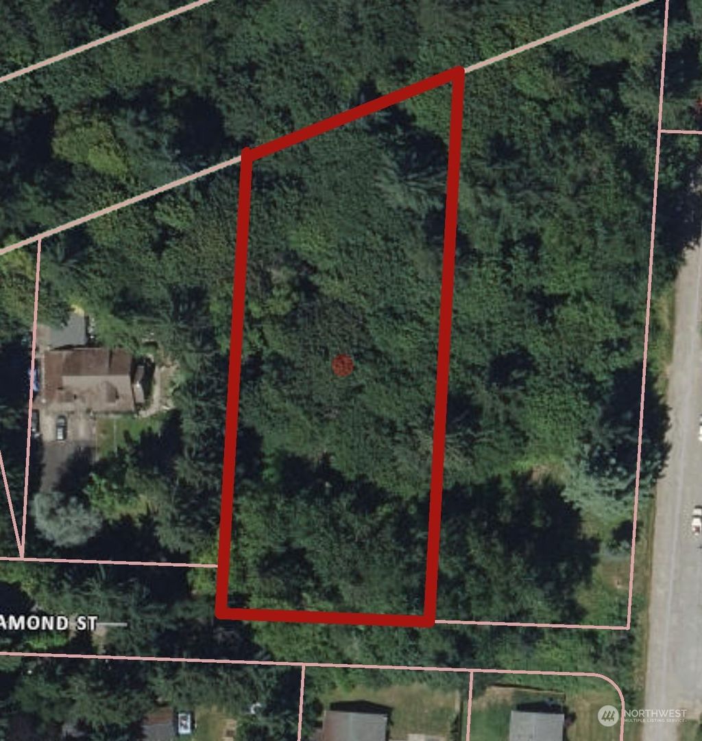 Photo of 1020 Diamond Street, Milton, WA 98354 (MLS # 2159945)