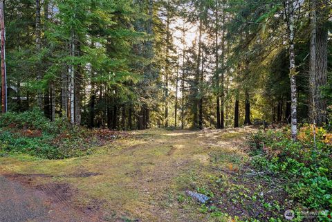 Photo of 30 E Tahuya Drive, Shelton, WA 98584 (MLS # 2455635)