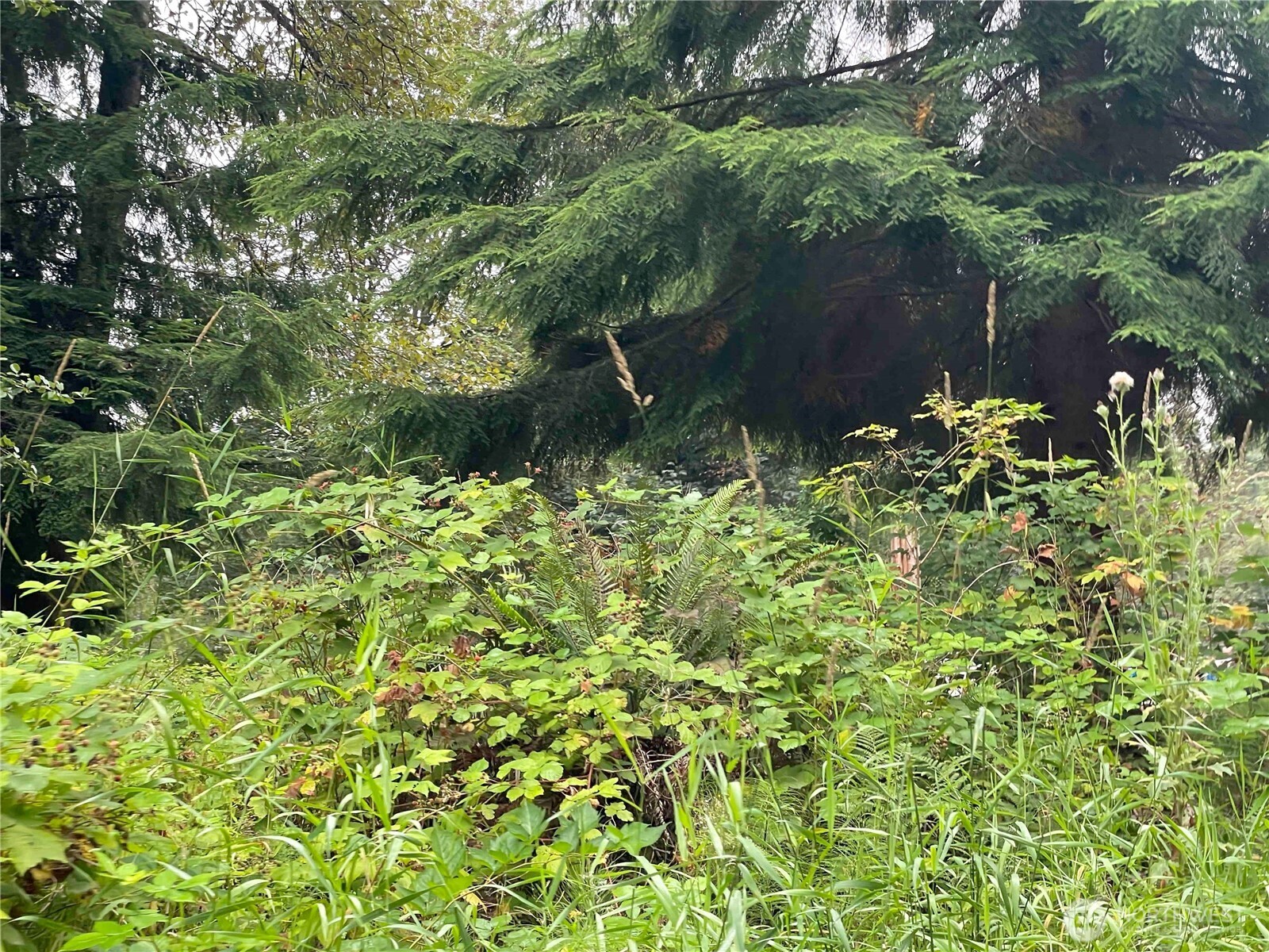 25313 121st Avenue NE