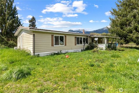 Photo of 302 State Route 131, Randle, WA 98377 (MLS # 2509633)