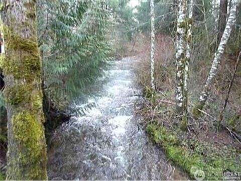 46212 E 162nd Avenue Eatonville WA 98328