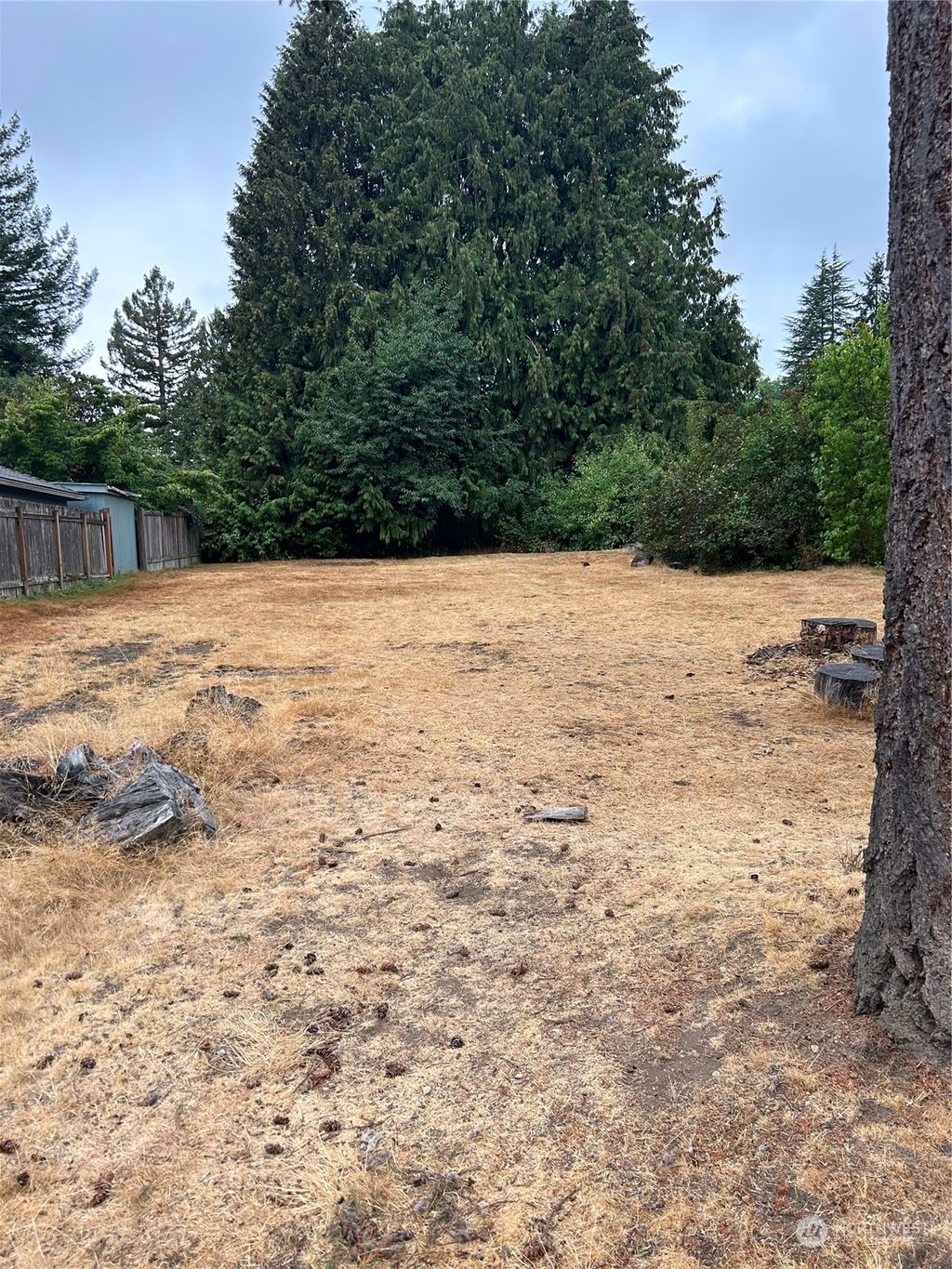 Photo of 11739 20th Avenue NE, Seattle, WA 98125 (MLS # 2155839)