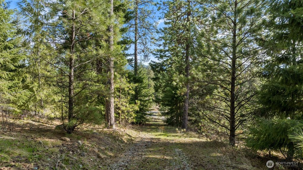 Photo of 0 Lot B R&amp;R Heights Drive, Roslyn, WA 98941 (MLS # 2489442)