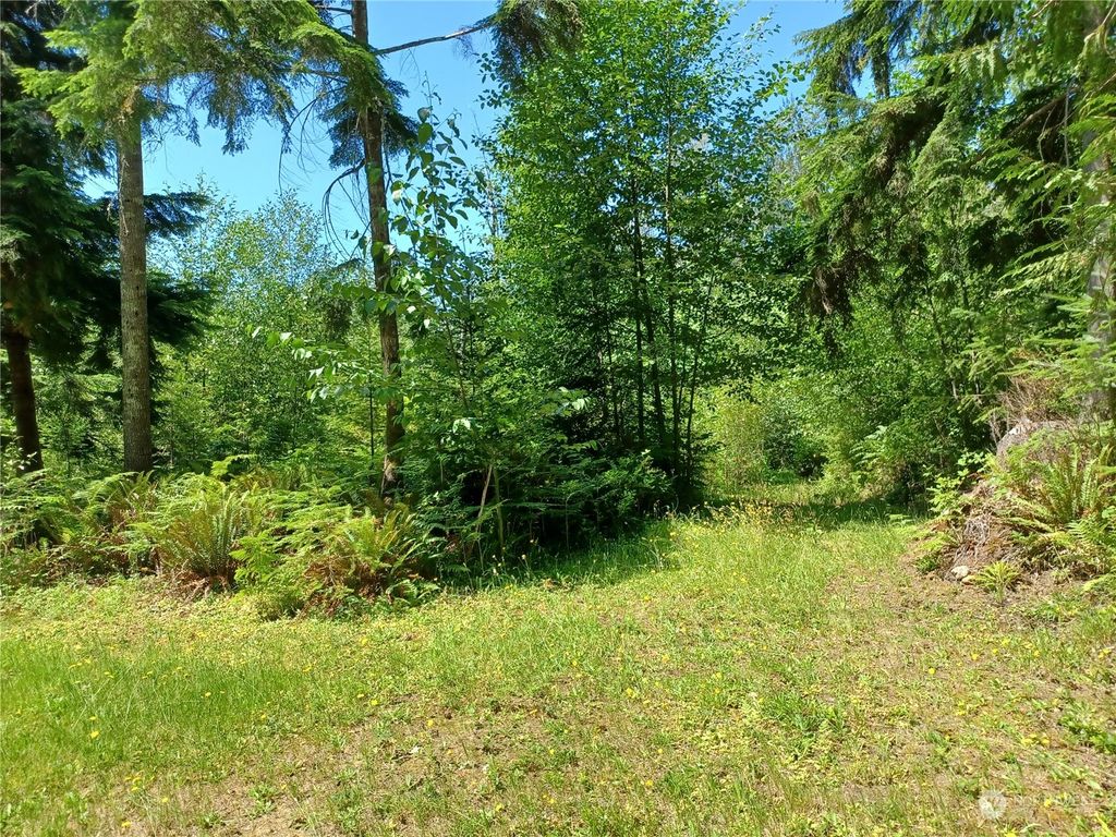 Photo of 94 XX Woods Creek Road, Monroe, WA 98272 (MLS # 2265365)