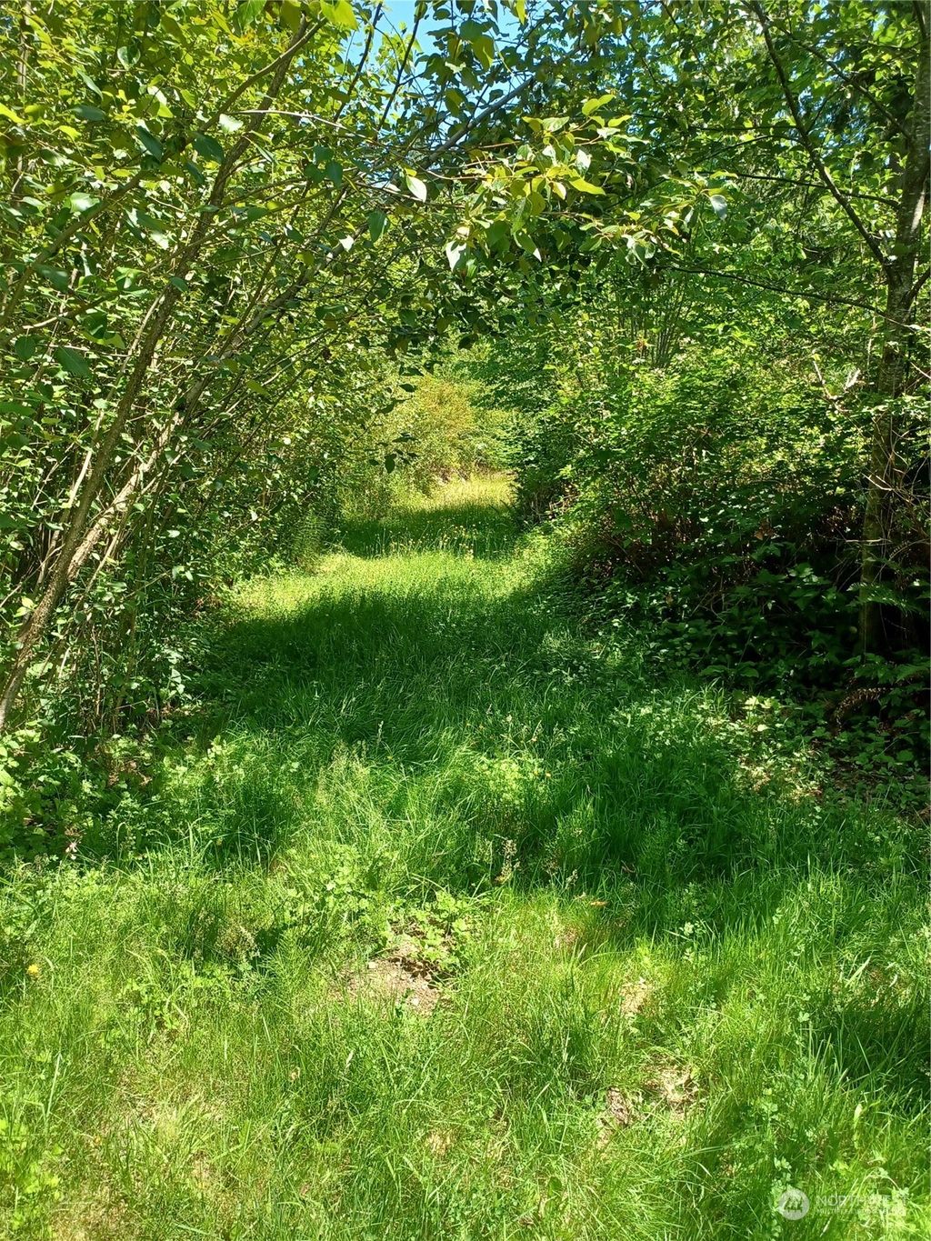Photo of 94 XX Woods Creek Road, Monroe, WA 98272 (MLS # 2265365)