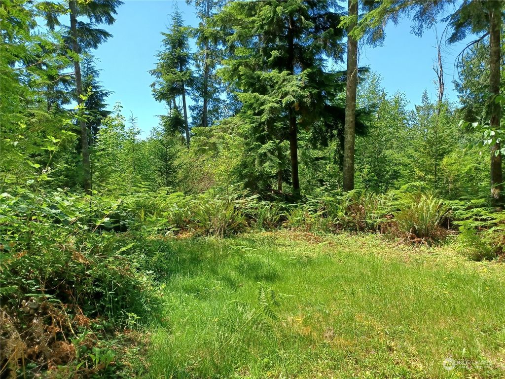 Photo of 94 XX Woods Creek Road, Monroe, WA 98272 (MLS # 2265365)