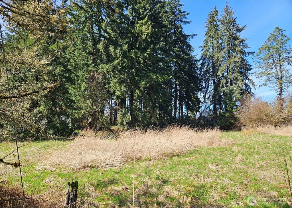 Photo of 11735 Driver Street SW, Olympia, WA 98512 (MLS # 2569639)