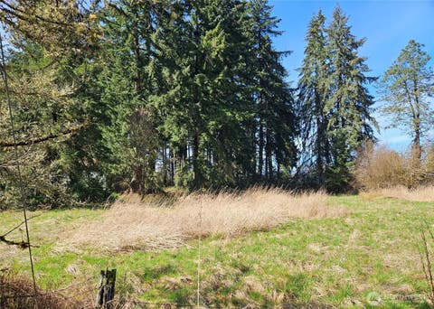 Photo of 11735 Driver Street SW, Olympia, WA 98512 (MLS # 2569639)