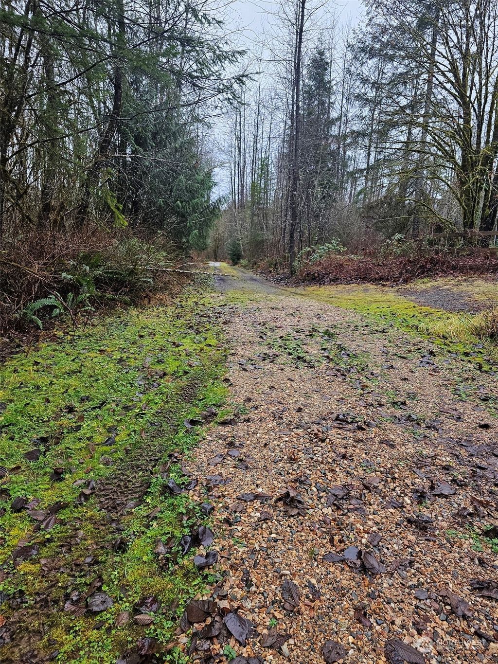 Photo of 0 xxx NE 155th Place, Duvall, WA 98019 (MLS # 2328476)