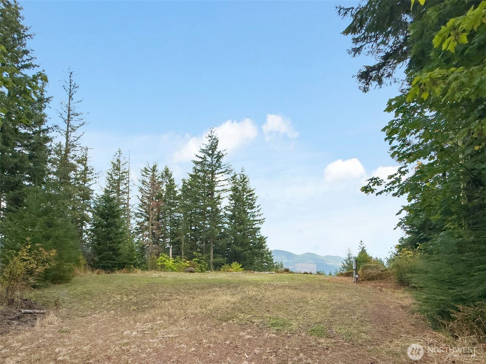 143 Meadow Ridge Way